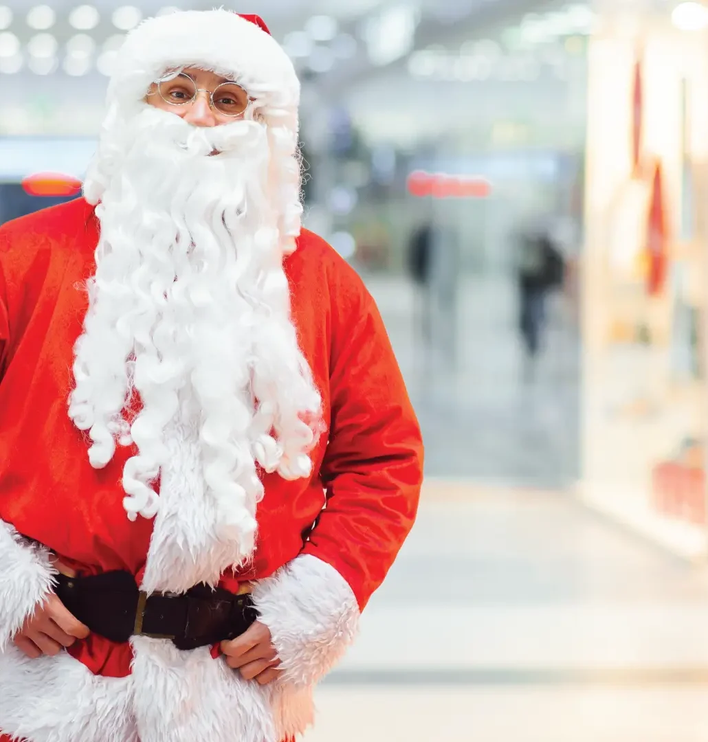 shopping-experiense-web-santa